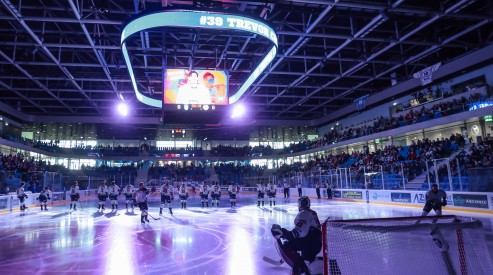 Hydro Fehérvár AV19 - Moser Medical Graz99ers