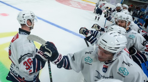 Hydro Fehérvár AV19 - Olimpija Ljubljana