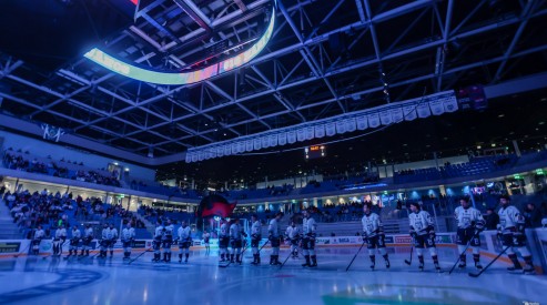 Hydro Fehérvár AV19 - HC Pustertal Wölfe