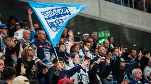 Hydro Fehérvár AV19 - FTC-Telekom