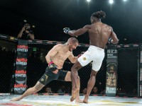 hex_mma_asc_1446.jpg