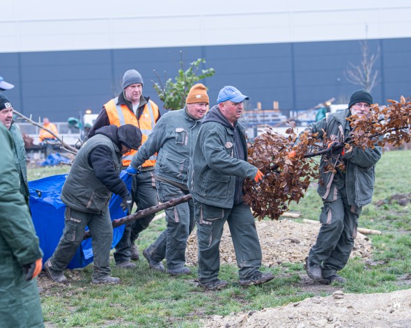 Faültetés a MET Arénánál